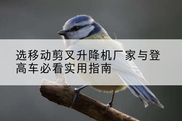 信州电动升降机厂家-选移动剪叉升降机厂家与登高车必看实用指南