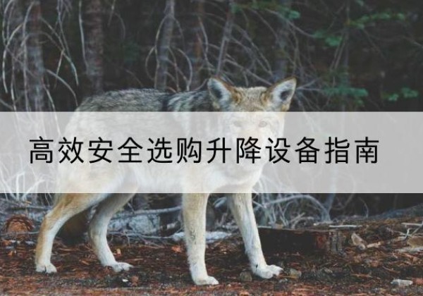 信州升降货梯厂家推荐-*安全选购升降设备指南